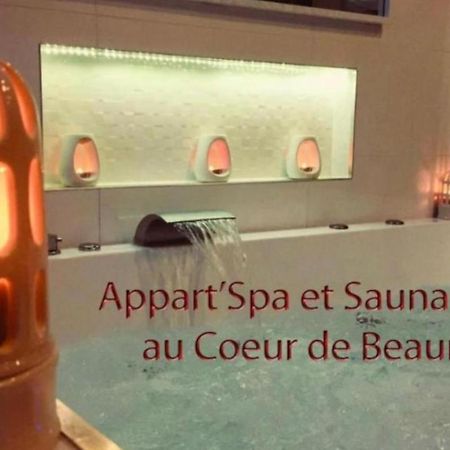 Appart' Spa Et Sauna Privatif Au Coeur De Beaune Ngoại thất bức ảnh
